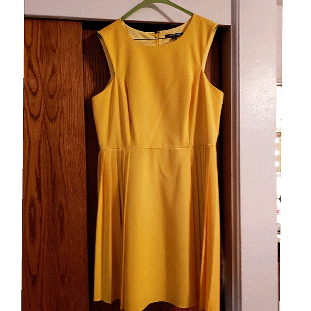 Gold Gianni Bini Dress